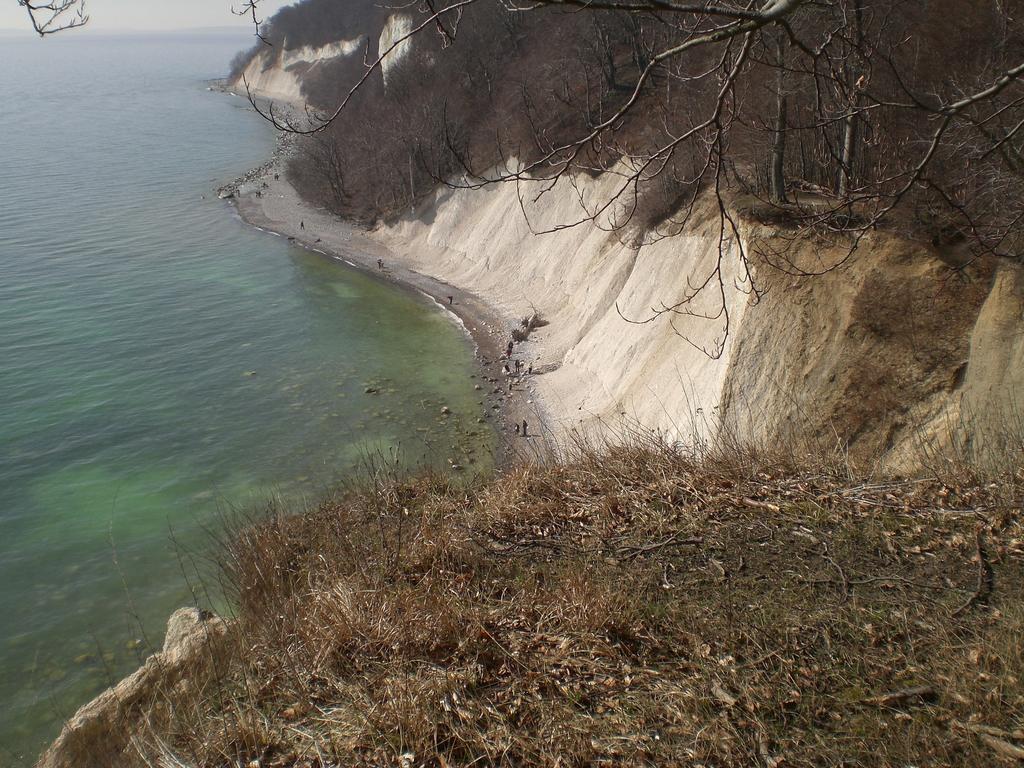 Ferienwohnung In Sassnitz Ruegen Naehe Weltnaturerbe Kreidekueste Exterior foto